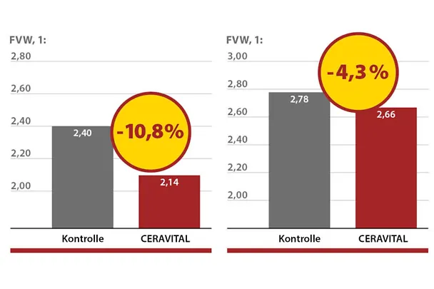 CERAVITAL bei Mastschweinen CERAVITAL bei Mastschweinen
