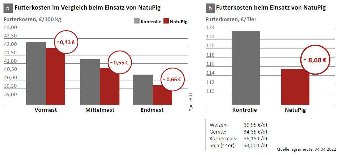 Futterkosten: Einsparungen in den einzelnen Phasen und je Mastschwein insgesamt
