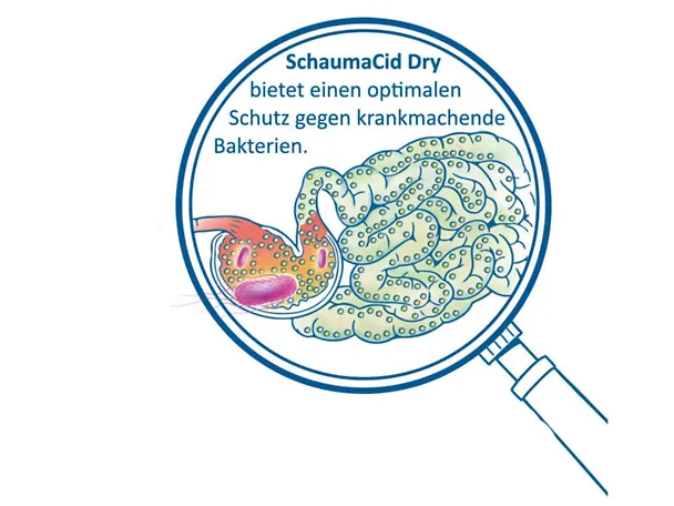 Wirkung von SCHAUMACID DRY im Darm