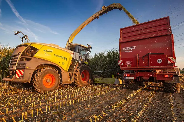 Lohnunternehmen Koch bei der Maisernte Lohnunternehmen Koch bei der Maisernte