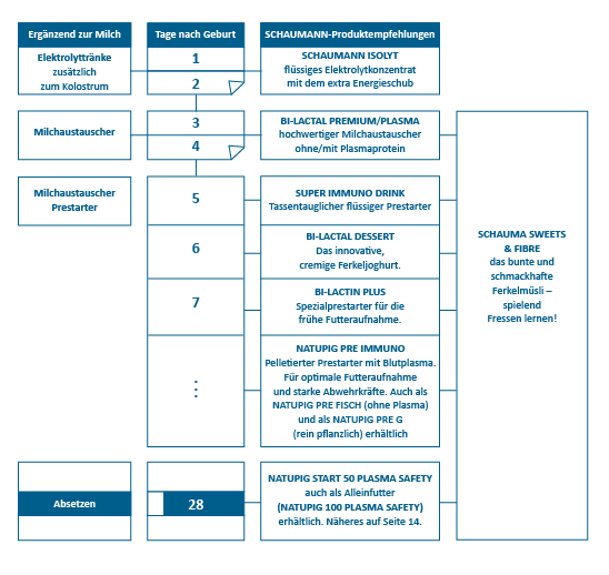 Das SCHAUMANN-Konzept zur Saugferkel-Beifütterung