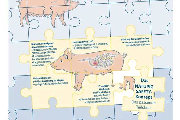 Die NATUPIG Safety-Linie unterstützt das Ferkel
